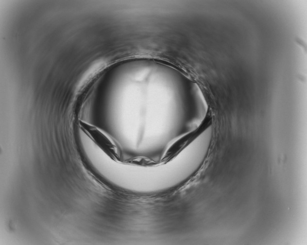 X0000095900197200802011136