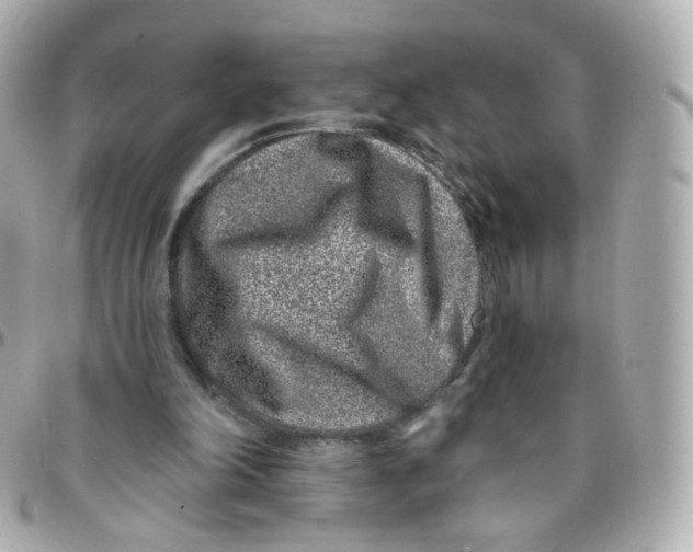 X0000095900198200802011136