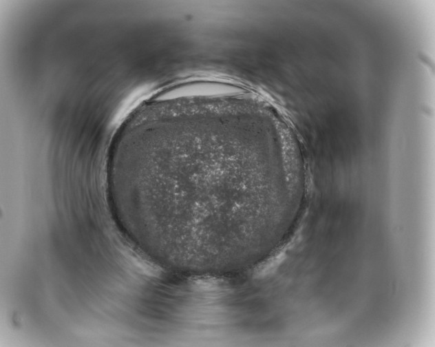 X0000095900199200802011136