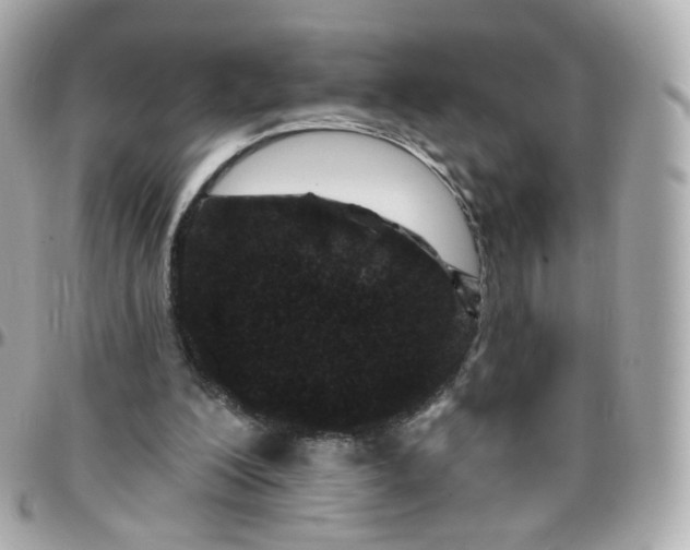 X0000095900200200802011136