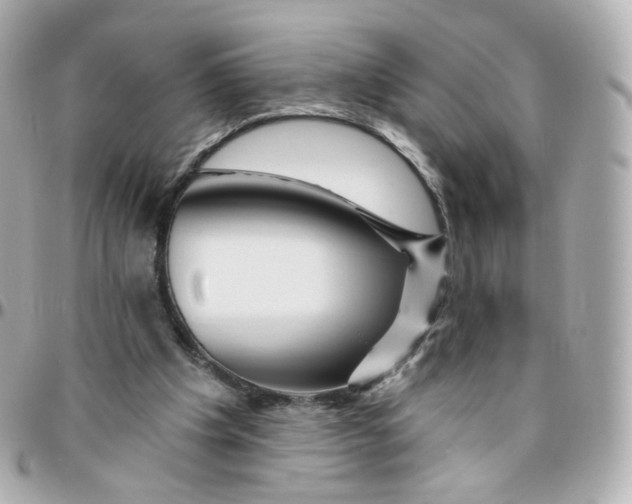 X0000095900201200802011136