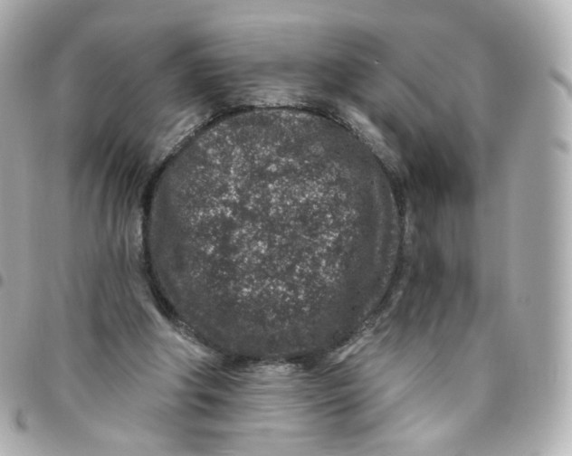 X0000095900202200802011136