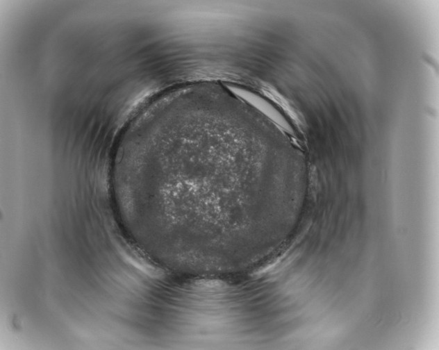 X0000095900203200802011136