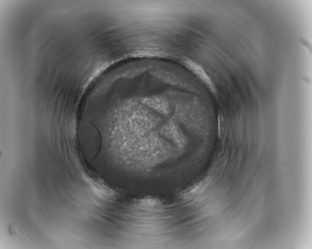 X0000095900204200802011136