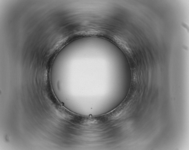 X0000095900206200802011135