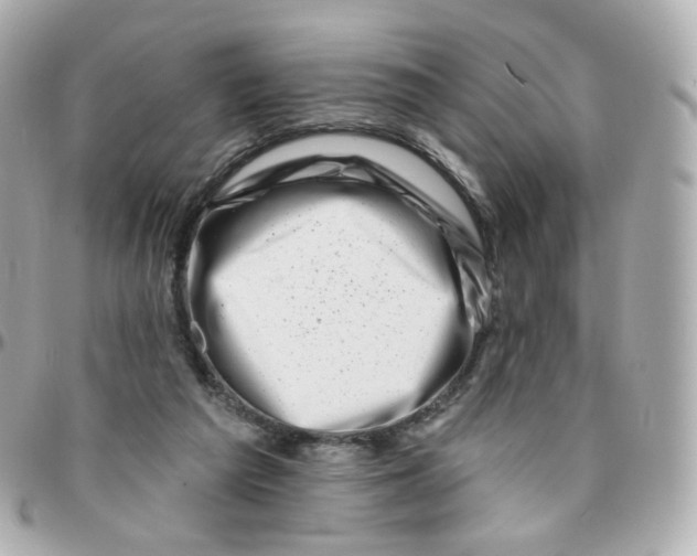 X0000095900209200802011135