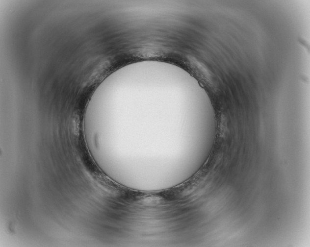 X0000095900210200802011135