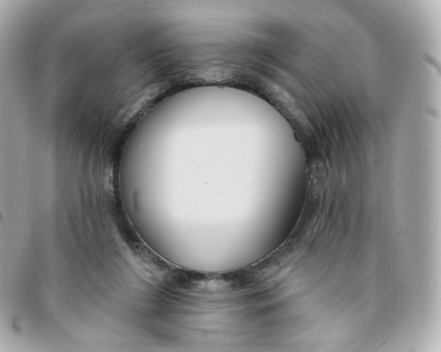 X0000095900212200802011135