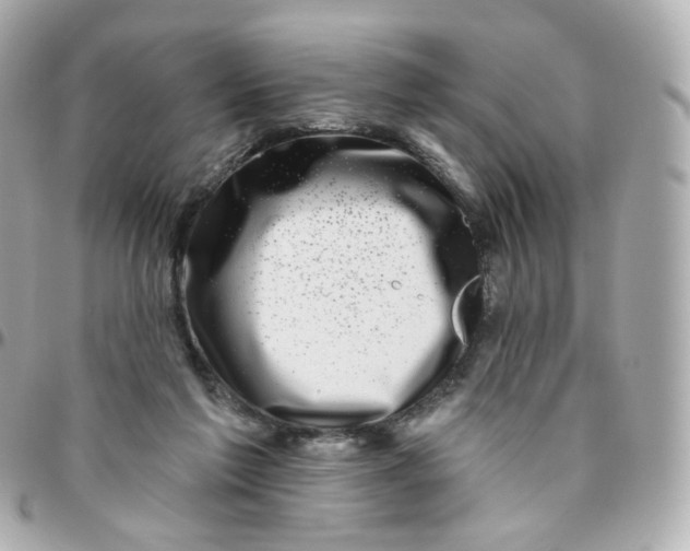 X0000095900213200802011135