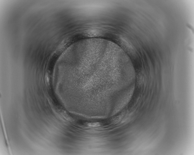 X0000095900214200802011135