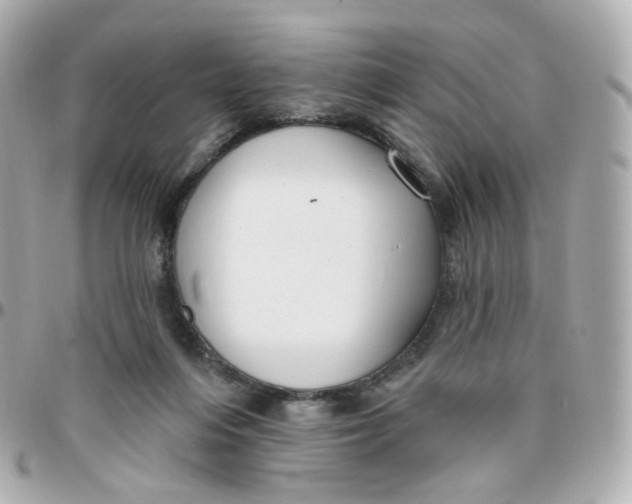 X0000095900216200802011135