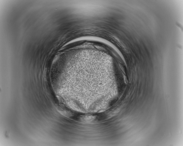 X0000095900217200802011135