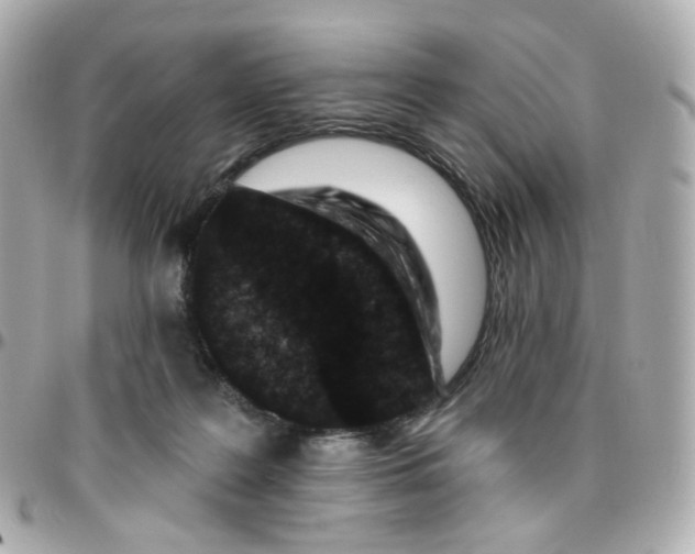 X0000095900219200802011135