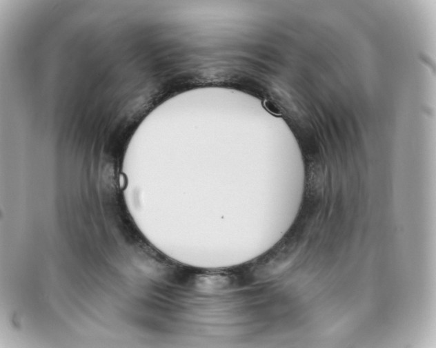 X0000095900220200802011135