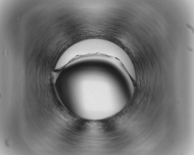 X0000095900221200802011135