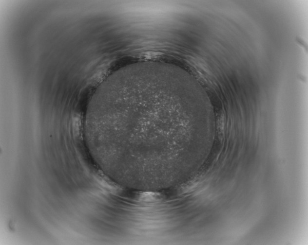 X0000095900222200802011135