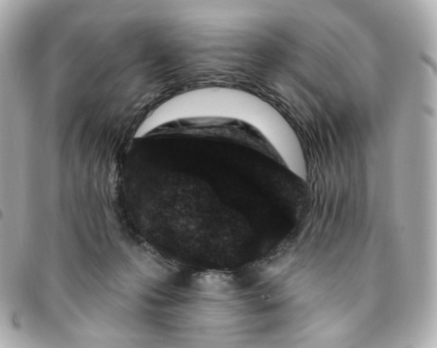 X0000095900223200802011135