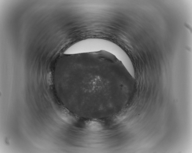 X0000095900224200802011135