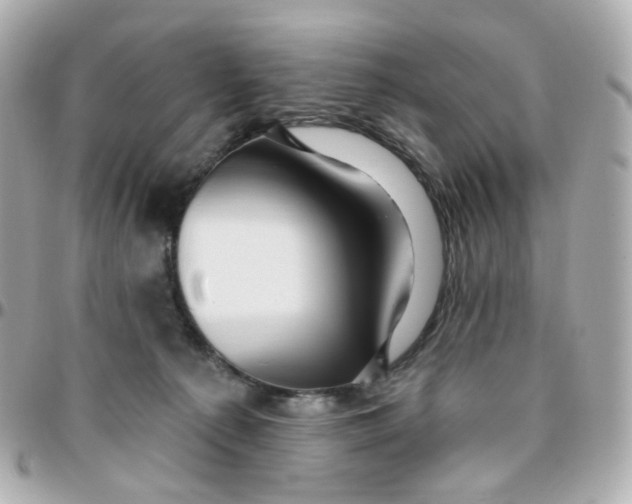 X0000095900225200802011135