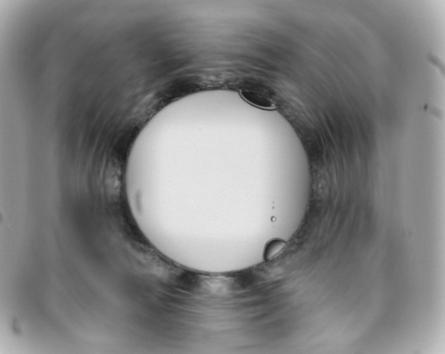 X0000095900226200802011135