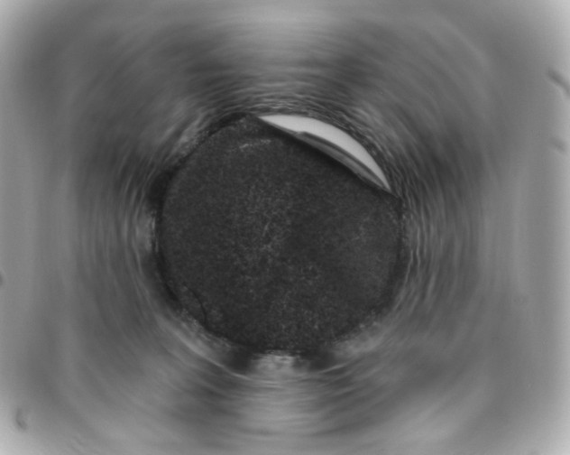 X0000095900227200802011135