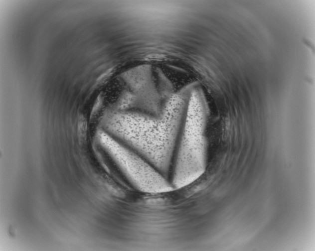 X0000095900228200802011135