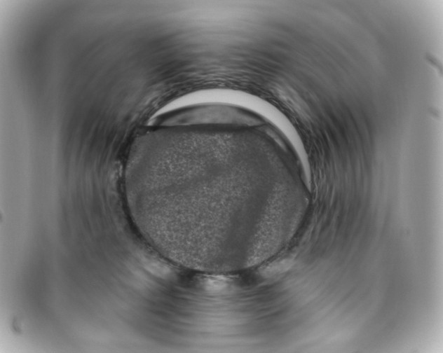 X0000095900229200802011135