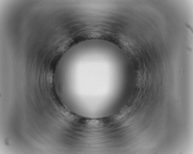 X0000095900230200802011135