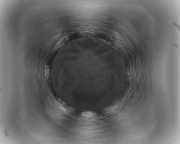 X0000095900231200802011135