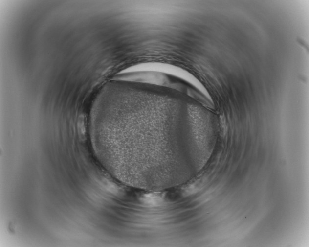 X0000095900232200802011135