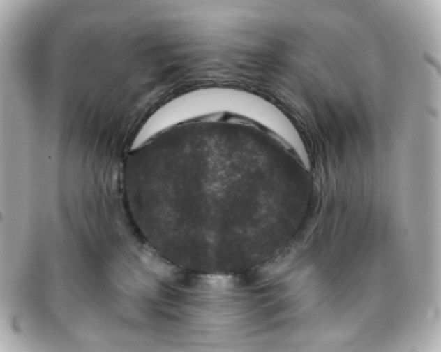 X0000095900233200802011135