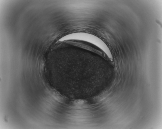 X0000095900235200802011135