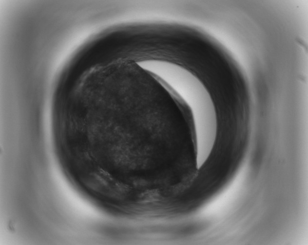 X0000095900239200802011135