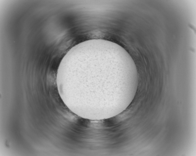 X0000095900240200802011135