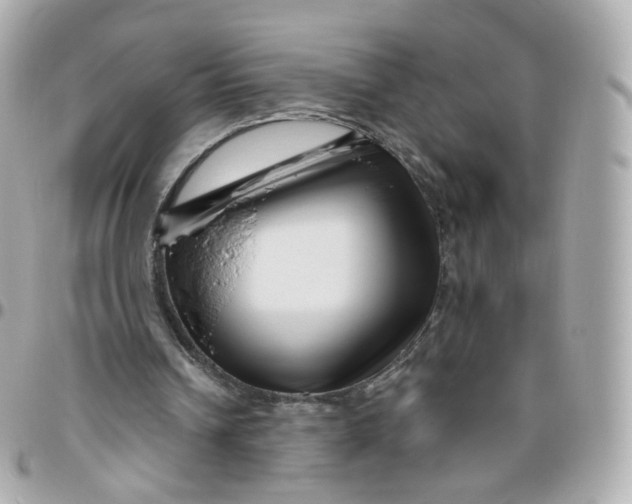 X0000095900242200802011134