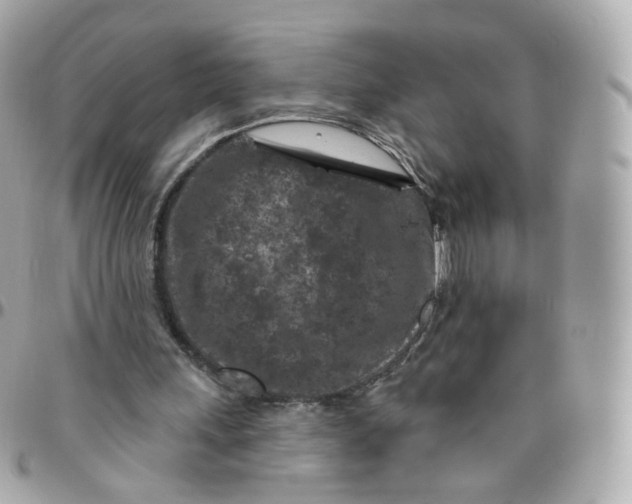 X0000095900243200802011134