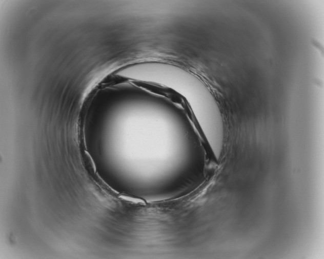 X0000095900244200802011134