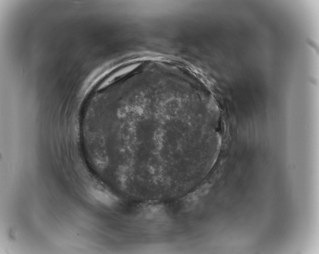 X0000095900247200802011134