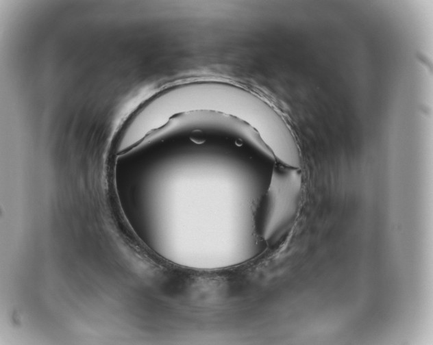 X0000095900248200802011134