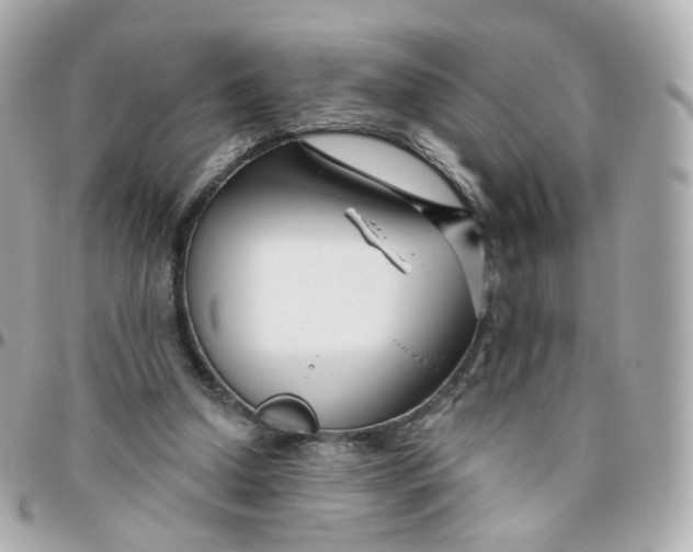 X0000095900250200802011134