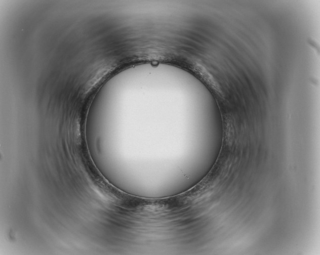 X0000095900251200802011135