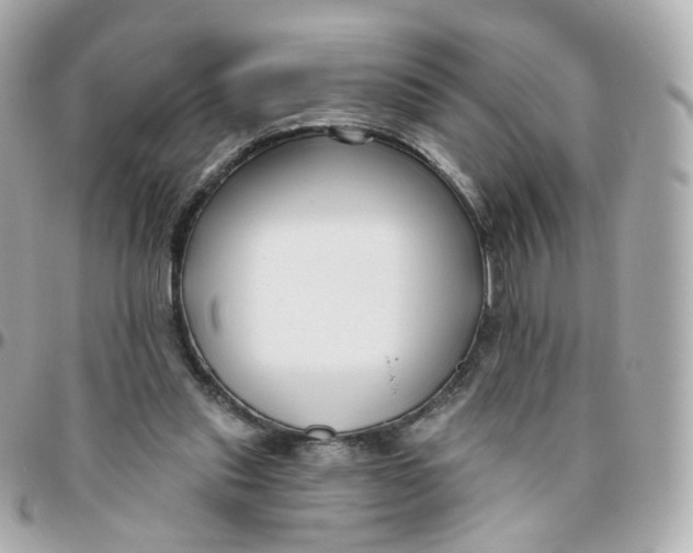 X0000095900253200802011135