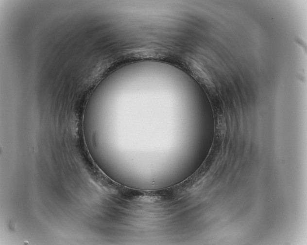 X0000095900255200802011135