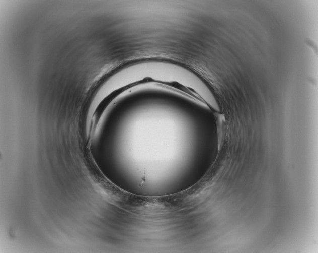 X0000095900256200802011135