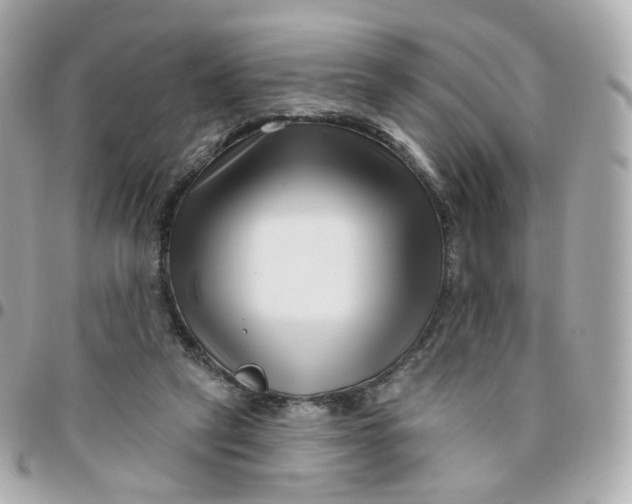 X0000095900257200802011135