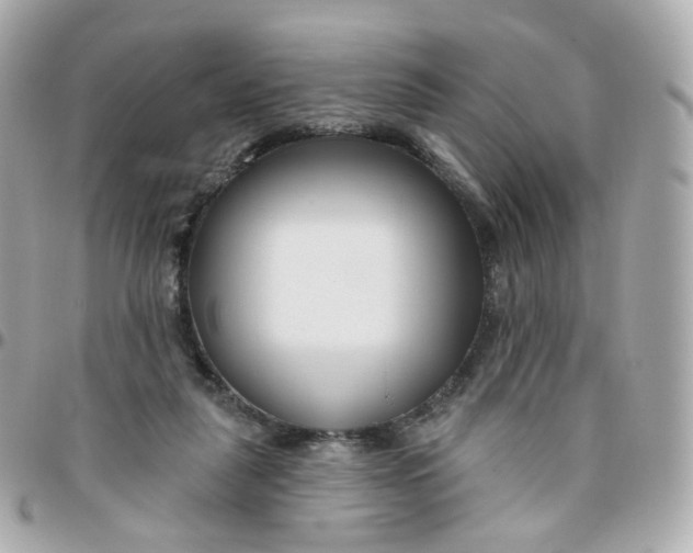 X0000095900259200802011135