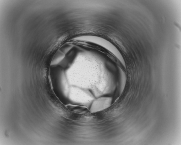 X0000095900260200802011135