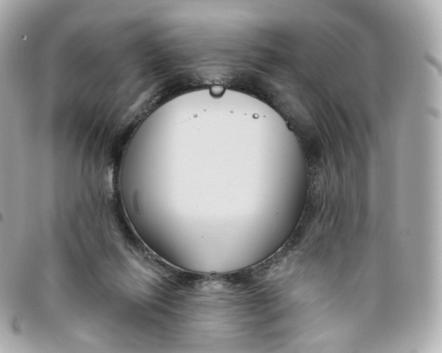 X0000095900262200802011135