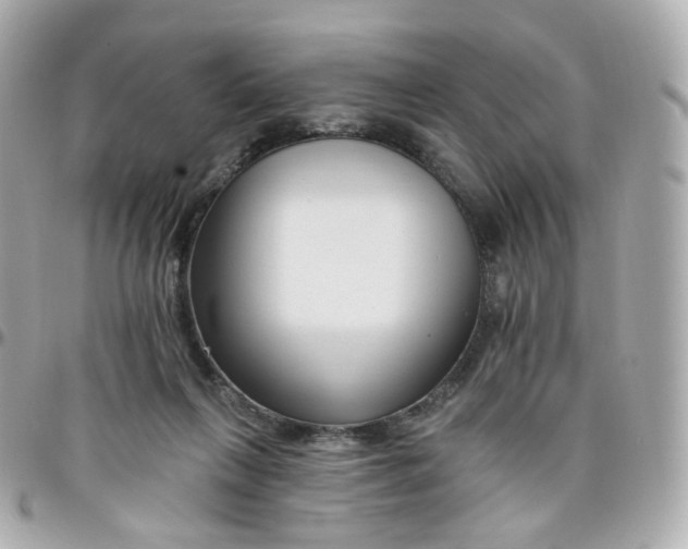 X0000095900263200802011135