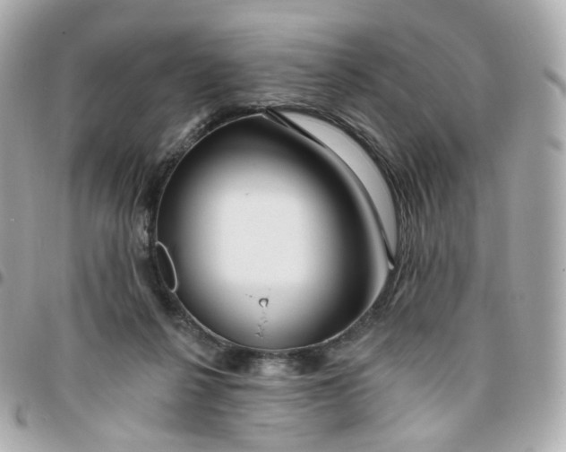 X0000095900264200802011135